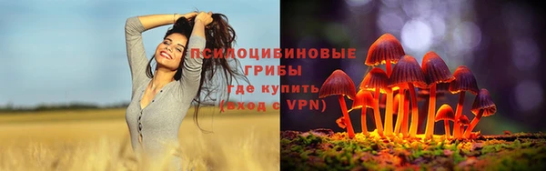 spice Богородск
