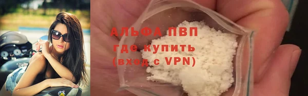 гашиш Богданович