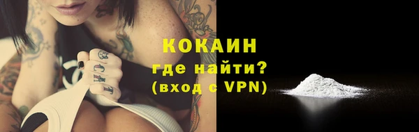 гашиш Богданович