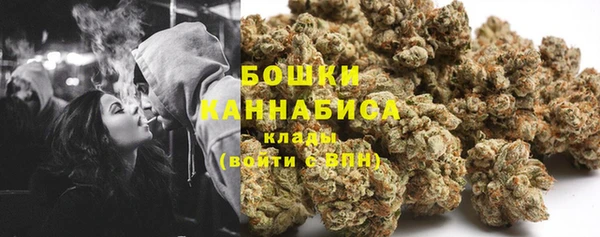 гашиш Богданович