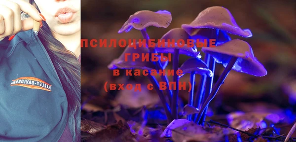 spice Богородск